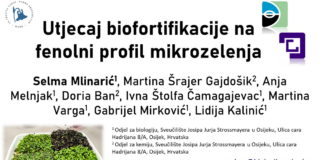 Odjel za biologiju predstavio nova znanstvena postignuća na međunarodnom Simpoziju Hrvatskog društva za biljnu biologiju (12.12.2025.)