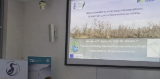 Sudjelovanje na 11. Međunarodnoj konferenciji o kormoranima: Novi znanstveni doprinosi istraživanjima u Kopačkom ritu (03.-06.02.2026.)