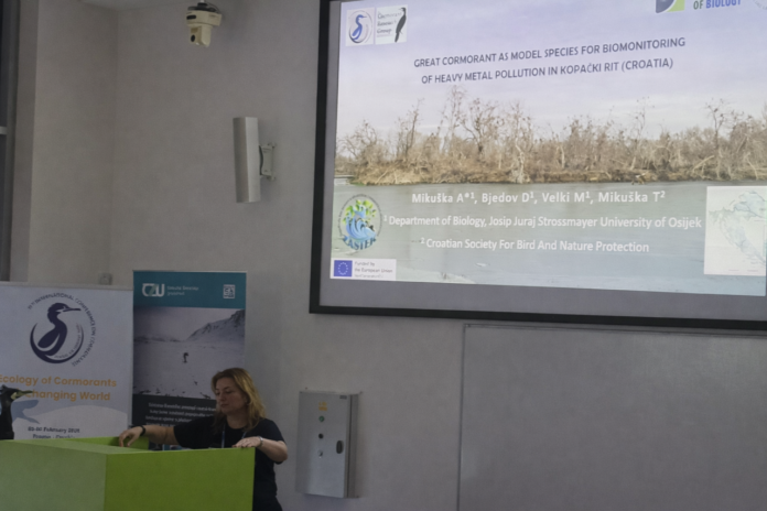 webCRG_Mikuška_predavanje