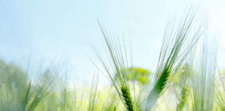 MLAĐI STRUČNI SURADNIK/SURADNICA ZA ZAŠTITU PRIRODE