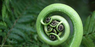 STRUČNI/A SURADNIK/CA ZA IHTIOFAUNU