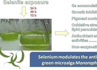 Novi znanstveni rad istraživačkog tima Odjela za biologiju objavljen u časopisu Environmental Toxicology and Pharmacology