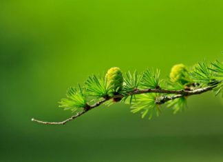 🎓 Poziv na radionicu: Bitne vještine za uspjeh u poslu