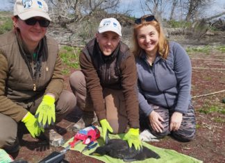 Istraživane kolonije velikog vranca u Kopačkom ritu u okviru EU projekta ZASTEK