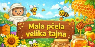 Male pčele, velika tajna