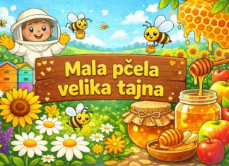 Male pčele, velika tajna