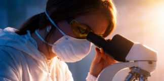 DOSIJEI X: Tihi svjedoci