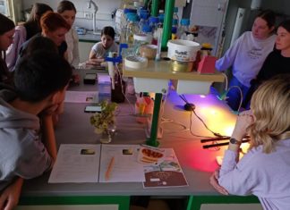 Radionica o fotosintezi oduševila osnovnoškolce na Festivalu znanosti 2026.