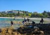 Terenska nastava 2 Botanika i Zoologija u Puli i Rovinju (18.05.-22.05.2026.)
