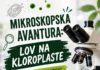 Mikroskopska avantura: Lov na kloroplaste