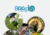 Obavijest o rezultatima natječaja za najbolju studentsku fotografiju u okviru projekta “Biolog-i-Ja” 2026.