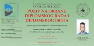 Obrana diplomskog ispita studenta Matije Gašparića