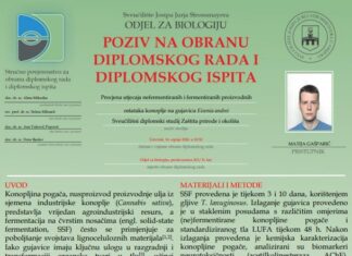 Obrana diplomskog ispita studenta Matije Gašparića