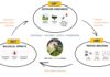 Odobren HRZZ projekt – CroStork-PAH