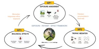 Odobren HRZZ projekt – CroStork-PAH
