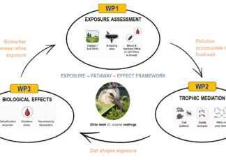 Odobren HRZZ projekt – CroStork-PAH