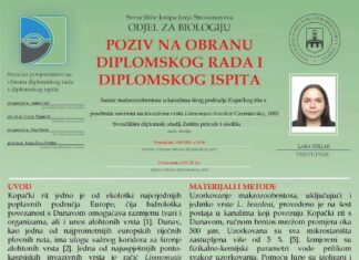 Obavijest o obrani diplomskog ispita Lare Tišljar