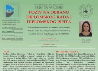 Obavijest o obrani diplomskog ispita studentice Matee Paulić