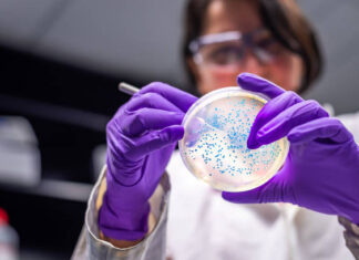 DIPLOMIRANI INŽENJER/KA MAGISTAR/KA BIOLOGIJE