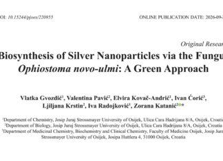 Novi znanstveni rad projekta NanoBioRem: zelena sinteza nanočestica srebra pomoću gljive Ophiostoma novo-ulmi