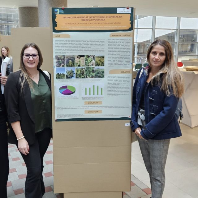 Realiziran studentski projekt „Prijetnja u lijepom - invazivne biljne vrste na području Vođinaca“

U razdoblju od travnja do listopada 2024. godine provedena su terenska istraživanja u sklopu projekta „Prijetnja u lijepom - invazivne biljne vrste na području Vođinaca“ čiji je voditelj Katarina Bionda, studentica Sveučilišnog prijediplomskog studija Biologija. Projekt je izrađen pod mentorstvom izv. prof. dr. sc. Tanje Žuna Pfeiffer i izv. prof. dr. sc. Dubravke Špoljarić Maronić, a financiran je sredstvima Studentskog zbora Sveučilišta Josipa Jurja Strossmayera u Osijeku.
Invazivne strane vrste predstavljaju veliku prijetnju jer ne samo da ugrožavaju biološku raznolikost, već negativno utječu na gospodarstvo i ljudsko zdravlje. Ove se vrste posebice brzo šire na područjima koja su pod stalnim ili čestim utjecajem čovjeka. Područje općine Vođinci okruženo je poljoprivrednim površinama i šumom gdje su antropogeni utjecaji raznoliki. Stoga je cilj ovog projekta bio utvrditi prisutnost i rasprostranjenost invazivnih biljnih vrsta na navedenom području. Na terenu je zabilježeno ukupno 10 invazivnih vrsta, koje su uglavnom naseljavale puteve uz poljoprivredne površine i željezničku prugu te okoliš napuštenih zgrada. Sjetva, mehanizacija i promet prepoznati su kao najvažniji čimbenici koji pridonose širenju zabilježenih vrsta. 
Invazivne vrste na području Vođinaca naseljavaju različita staništa, stoga bi u budućnosti njihovo nekontrolirano širenje moglo utjecati na kvalitetu staništa, poljoprivredne kulture i gospodarstvo, ali i na biološku raznolikost te ljudsko zdravlje. Kontinuirano praćenje i edukacija šire javnosti nužne su u svrhu njihove kontrole te zaštite prirode i okoliša.